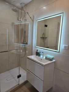 Appartements Oasis SpaLagon Chauffe climatise Arena parc expo : photos des chambres