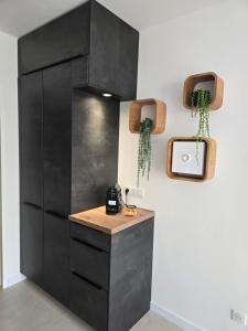 Appartements Oasis SpaLagon Chauffe climatise Arena parc expo : photos des chambres