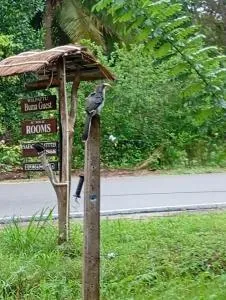 Wilpattu Buma Lodge - Tammannewa