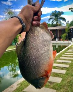 Finca Hotel Villa Nieves