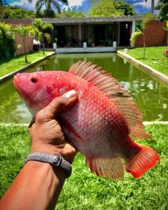 Finca Hotel Villa Nieves