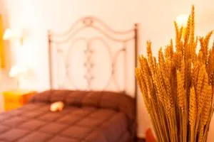 Apartamentos Cazorla Valle - Arroyo Frio