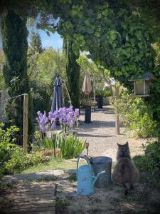 Maisons de vacances Le Jardin de Lau : photos des chambres