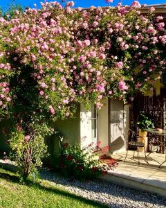 Maisons de vacances Le Jardin de Lau : photos des chambres
