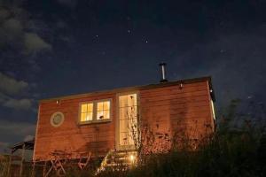 Cosy devon Hut woodland views