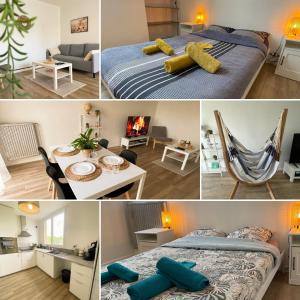 Appartements Le Lumineux - T3 63m2 - Gare proche - Boisson chaude : photos des chambres