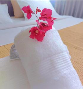 Aelia Sea View Apartments Rafina close to the Port , Airport & Athens