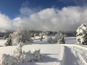 Appartements Gite La Petite Grange - En pleine nature ressourcement et randonnee : photos des chambres