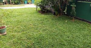 S and P Happy Family Living