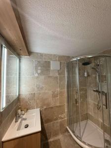 Appartements Le Savoyard - Bar & Jacuzzi : photos des chambres
