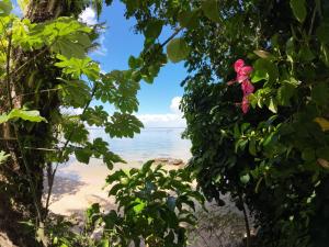 Pousada Ponta Das Pedras