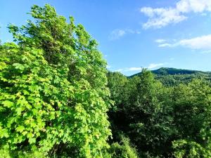 Cool Natural Relax at Alivé Home&Garden