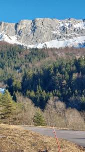 Appartements Studio Cosy pour 4 personnes en RDC : photos des chambres