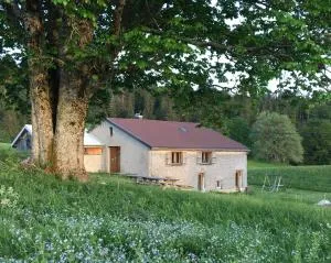 Gîte La Petite Grange - En pleine nature ressourcement et randonnée - Champfromier