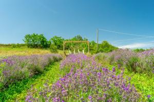 La Locanda Del Molino