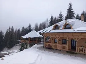 Mountain View Chalet - Crucea