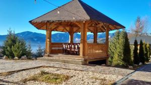 Mountain View Chalet