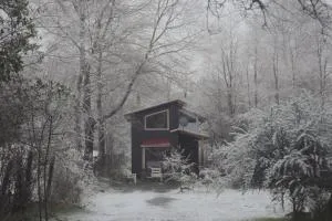 Araukaina - Refugio Llaima