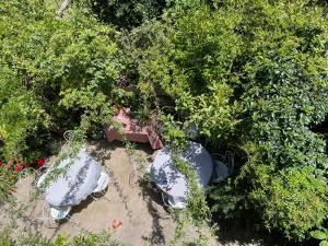 Maisons d'hotes les Asphodeles 3 chambres : photos des chambres