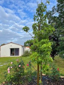 Un studio indépendant avec jardin
