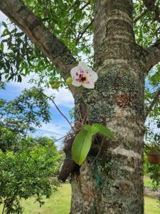 Refúgio junto a natureza