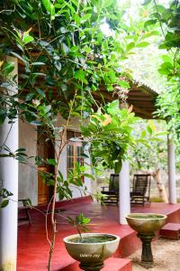 Maka Safari Village Resort