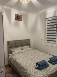 Apartman 10