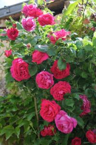 Les Berthiers - région des châteaux et des vignes