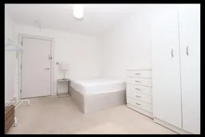 3-bedroom house in quiet , green & central location - New Southgate