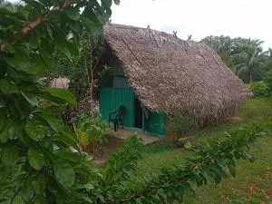 Kamp Makandy - Botopasi