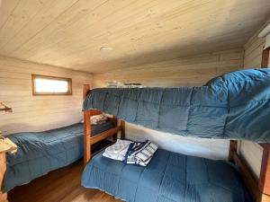 Tiny house Hostal