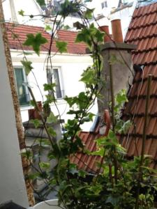 Studio en plein cœur de Paris