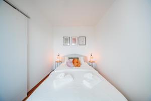 Rooftop City View Haven Apartment