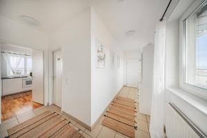 Rooftop City View Haven Apartment