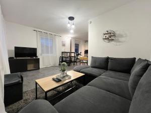 Appartements Spacieux appartement a Belfort : photos des chambres