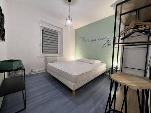 Appartements Spacieux appartement a Belfort : photos des chambres
