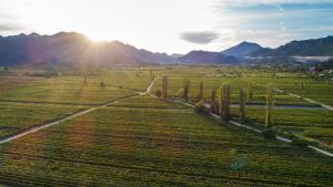 Villa Granny Nevenka near MAKARSKA