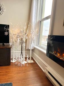 Hamburg - Stylish Heritage Unit with Stewart Park View