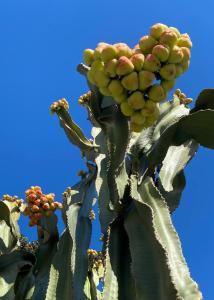 Casa Dulce- Cosy appartment with great views & sunsets - close to beach