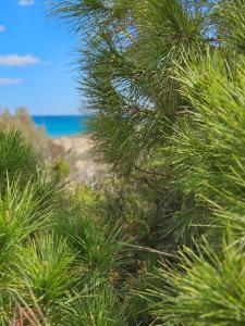 Casa Dulce- Cosy appartment with great views & sunsets - close to beach