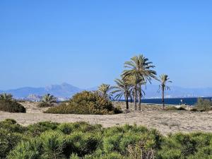 Casa Dulce- Cosy appartment with great views & sunsets - close to beach