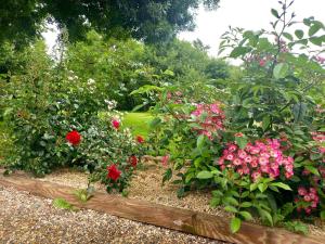 Villas Le clos d-Ondres-Spa : photos des chambres