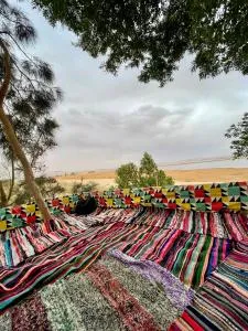 Sunset Tree Camp - El-Manshîya