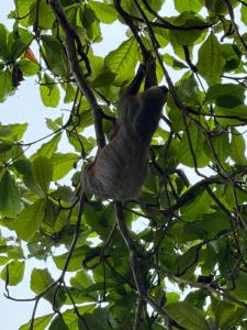 Casa Zafiro 2 bdr beach house AC WIFI BBQ