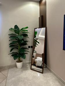 Luxury Royal Studioملكي فاخر