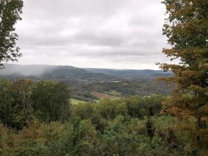 Cabin Lookout Mountain