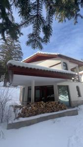 Luxury Villa in the Pines