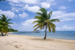 Updated Beachfront Paradise Infinity Pool Roatan