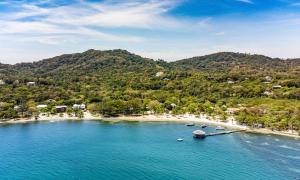 Updated Beachfront Paradise Infinity Pool Roatan