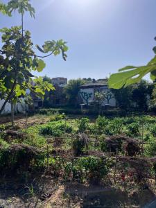 Villa spacieuse avec jardin & vue mer